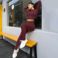 Conjunto deportivo de dos piezas de manga larga, nuevo traje informal de moda para mujer - details 70