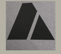 Camiseta de Entrenamiento Físico Militar de Alta Calidad Estilo PT Camiseta de Gimnasio Reflectante para Hombres en Verano - details 17
