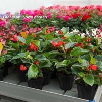 Macetas negras de plástico para guardería con orificios de drenaje, bandejas para té utilizadas para plantas, flores y verduras de jardinería - details 3