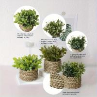 Plantas artificiales de Eulyptus, material de pila de hierba tejida de 11cm, decoración del hogar - details 20