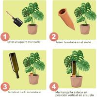 Estacas de autorriego para plantas, sistema de riego automático de agua para interiores y exteriores - details 3
