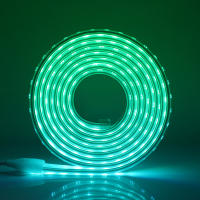 Tira de luces LED RGB SMD5050, cinta de diodo impermeable con Control remoto, lámpara de jardín al aire libre, decoración del hogar, 220V, 60Leds/m - details 4