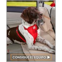 Fundas de asiento de coche para perros. Protege la tapicería de tu coche.