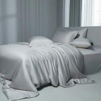 Juego de Ropa de Cama de Lujo 2025 100% Algodón, Manga Larga, Alto Número de Hilos, Color Sólido, Cama de 1.8m - details 2