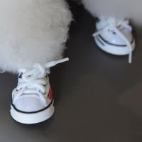 4 Uds. Preciosos zapatos de lona resistentes al desgaste para perros, botas vaqueras antideslizantes a la moda para mascotas, calzado transpirable, zapatillas deportivas para cachorros al aire libre - details 3