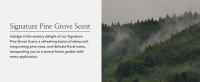indulge in the sensory delight of our signature pine grove scent, forest garden with application
