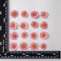 Juego de 12 Uds. De flores secas naturales de 2,5-4cm para rellenos de funda de teléfono DIY, flor de crisantemo de cristal prensado, decoraciones artísticas para uñas - details 12
