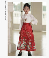Falda Ma Mian Hanfu conjunto mejorado estilo chino antigua dinastía Ming disfraz Tang verano para niños - details 9