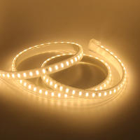 Tira de luces LED de 220V, cinta de lámpara Flexible de alto brillo, resistente al agua, con interruptor, para decoración de cocina, jardín y habitación al aire libre, 2835 - details 6