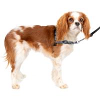 PetSafe Lujo para Perros Arnés Deluxe Easy Walk, pequeño, Gris Acero, Nailon, Pequeño (Paquete de 1) - details 0