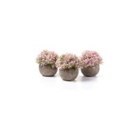 Plantas Artificiales Plásticas Flor Decorativa en Maceta Lleno de Color para Oficina en Casa Paquete de 6 - details 12