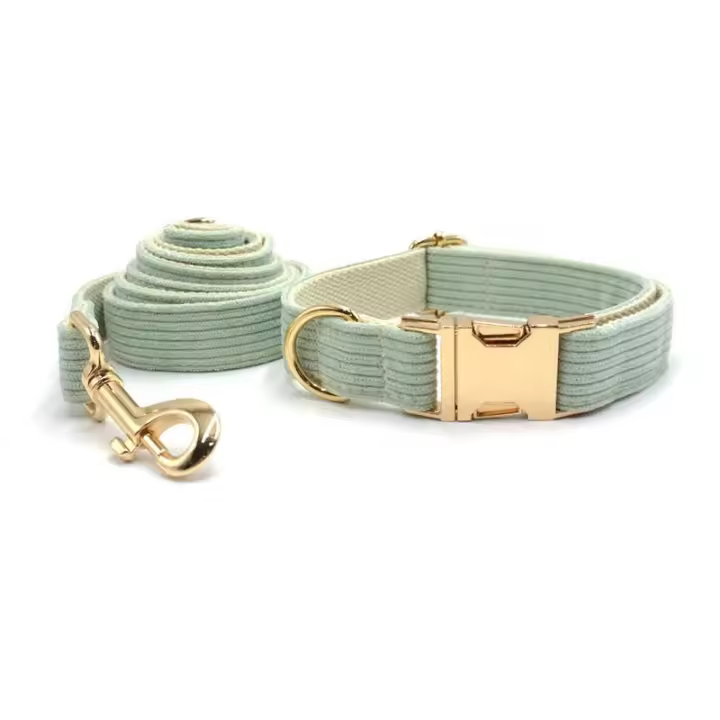 Collar Pana Verde Mint, personalizado, antipérdida, para Perros Pequeños, medianos y grandes, elegante, Conjunto de Correa - 1