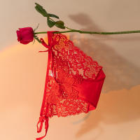 Braguitas de encaje rojo de malla, sensación desnuda femenina, sin costuras, de cintura baja, de algodón, entrepierna transpirable. - details 1