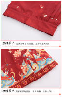 Falda con cara de caballo para niña, conjunto Hanfu, nuevo estilo Ming Tang de primavera para niños grandes, disfraz antiguo de estilo chino - details 3