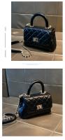 Bolso de textura de alta calidad de la marca Hong Kong2025Nueva Bolsa de Mano Elegante y Versátil Acolchada, Bandolera de Hombro - details 13