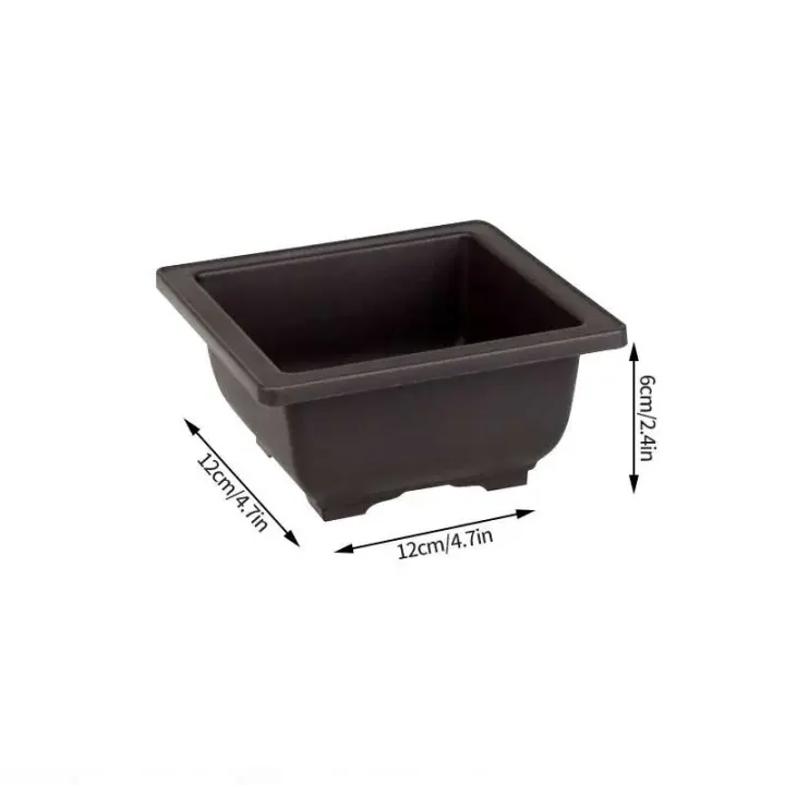 ETA de plástico de entrenamiento rectangular con bandeja de drenaje, cultivo de plantas bonsái jugosas ETA, decoración del hogar - 1