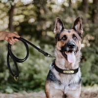 perro cuero auténtico, conjunto de Collar personalizado mascotas correa, placa con grabado gratis para perros pequeños, medianos - details 8
