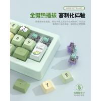 La macro inalámbrica intercambiable en caliente de tres modos define el teclado mecánico del juego RGB - details 2