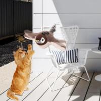 Juguete de Gato Interactivo Pájaro Volador Recargable Se Activada con Toca de Catnip - details 2