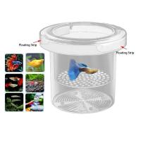 Caja de aislamiento de cría de peces flotante acrílica, suspensión transparente, alimentador de acuario, alimentación Ornamental - details 8
