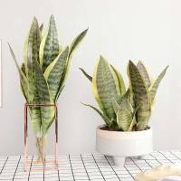 Plantas artificiales para decoración del jardín del hogar, rama de Sanseviria de plástico, bonsái DIY, plantas falsas para exteriores - details 4