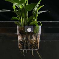 Copa de Hierba Acuaria Cesta de Plantas Hidroponicas Multiple para Tanque de Peces - details 2
