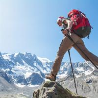 Bastón de Trekking para campistas y excursionistas, ultraligero, plegable, absorbente de golpes, ajustable y de fácil agarre - details 8