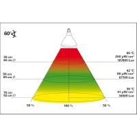 Lámpara de terrario Lucky Reptile Bright Sun Flood Jungle - 150 W, lámpara de metal para casquillos E27 - Lámpara de terrario con espectro de luz diurna - Lámpara de calor con radiación UVA y UVB - Lámpara UV para reptiles tropicales - details 1
