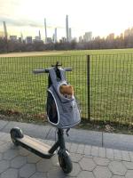 Mochila para perros, bolsa de transporte portátil para perros al aire libre, transpirable, suministros de transporte para mascotas - details 0