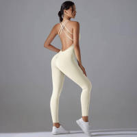 Hamidou-body de Yoga elástico, ropa de gimnasio, ropa deportiva de realce, mono de entrenamiento sin espalda, conjunto de Yoga de alta elasticidad para gimnasio - details 34