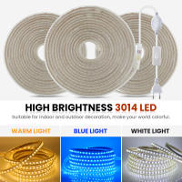 Tira de luces LED de 220V con enchufe europeo, lámpara de Exterior resistente al agua IP67, cinta azul, blanca y cálida, decoración, SMD 3014, 120Led/m - details 1