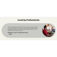 EC100 Ergonomic Chair