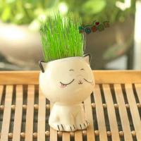 Mini plantas lindas de dibujos animados con forma de cerámica, expresión ETA, gato ETA, decoración de escritorio, pequeños adornos - details 4