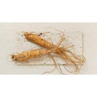 Ginseng extract, serum