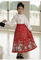 Falda Ma Mian Hanfu conjunto mejorado estilo chino antigua dinastía Ming disfraz Tang verano para niños - details 10