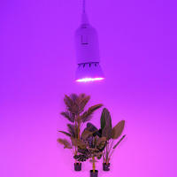 Luz LED colgante de espectro completo para cultivo de plantas de interior, lámpara colgante ajustable E27, color blanco y negro, 6W, 15W, 20W, 26W - details 8