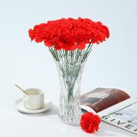 10 Uds nuevo clavel Artificial de tacto Real multicolor 35cm flores falsas 3D clavel rama decoración de fiesta - details 3