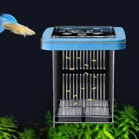Caja transparente para criador de Guppy, desmontable, previene el escape, criadero de vida acuática, incubadora de peces madre Permeable, uso doméstico - details 9