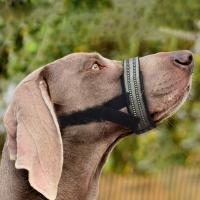 Bozales ajustables para perros, transpirables, previenen mordeduras y ladridos, cubierta bucal antiladridos, protector bucal suave y duradero para perros - details 5