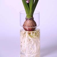 DIY Micro paisaje claro jacinto maceta de vidrio botella terrario contenedor wer florero para el hogar Oficina r - details 0