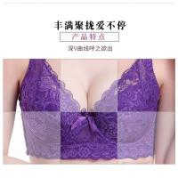 Seduce con Encaje y Látex Top de Lencería de Talla Grande con Hilo Interior - details 41