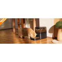 Comedero automático para Gatos