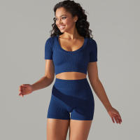 Hamidou-Conjunto de ropa deportiva sin costuras para mujer, Leggings de cintura alta, camisetas de manga corta, pantalones cortos, conjunto de 2 piezas, ropa de gimnasio - details 19