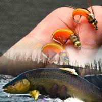 5/10 Uds moscas húmedas cebo pesca con mosca para lubina trucha Lucio salmón cabeza de latón Caddis Ninfa cebo de pesca hecho a mano señuelo de pesca de insectos artificiales - details 2