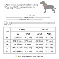 genuino mascotas pequeños, medianos grandes, Collar cuero duradero ustable para perros y cachorros, conjunto de correas XS-XL - details 0
