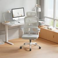 Silla de Oficina ergonómica de Malla, Silla de Oficina con Respaldo Alto con reposabrazos 3D, Soporte Lumbar hacia Arriba y hacia Abajo, Silla de Trabajo - Marco Blanco Malla Gris Claro - details 1
