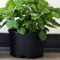 ETA de plástico portátil grande hortícola para plantas, bonsái de exterior, 2. - details 4
