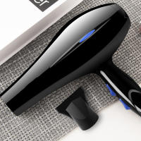 Secador Profesional Multifunción, Difusor, 2 Modos de Calentamiento, 2 Velocidades, Negro - 800 W con Kit - details 6