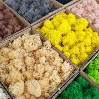 Musgo eterno, manualidades DIY, hierba, 20/40/100g, plantas verdes artificiales, decoración del hogar, habitación, jardín, mini país, hierba falsa - details 8