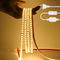 Tira de LED Adhesiva 220V IP67 Impermeable Strip Light con Interruptor SMD 2835 120 leds/m corte 10 CM - details 9